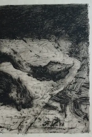 Floris Verster - Twee geplukte hanen kopen? Bied vanaf 60!