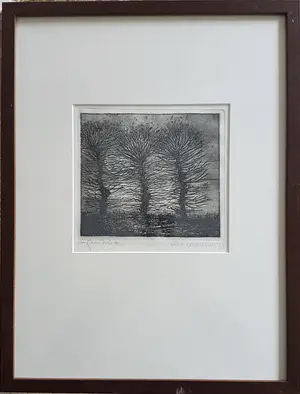 Hans van Draanen - DRIE BOMEN ETS 1977 BERGEN kopen? Bied vanaf 1!