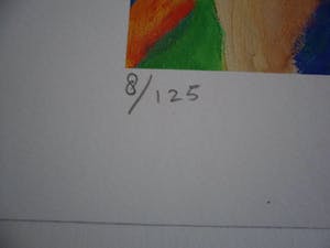 Engelien Kooy - Zeefdruk. Titel, Onbekend. kopen? Bied vanaf 30!