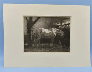 Jan Vrolijk - Etend paard met kippen in de stal - 19e eeuwse ets kopen? Bied vanaf 25!