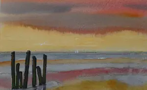 Franklin Meijer - Waddenzee - Zosondergang kopen? Bied vanaf 59!