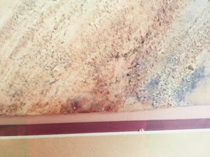 Annemiki Bok - Landschap kopen? Bied vanaf 1!