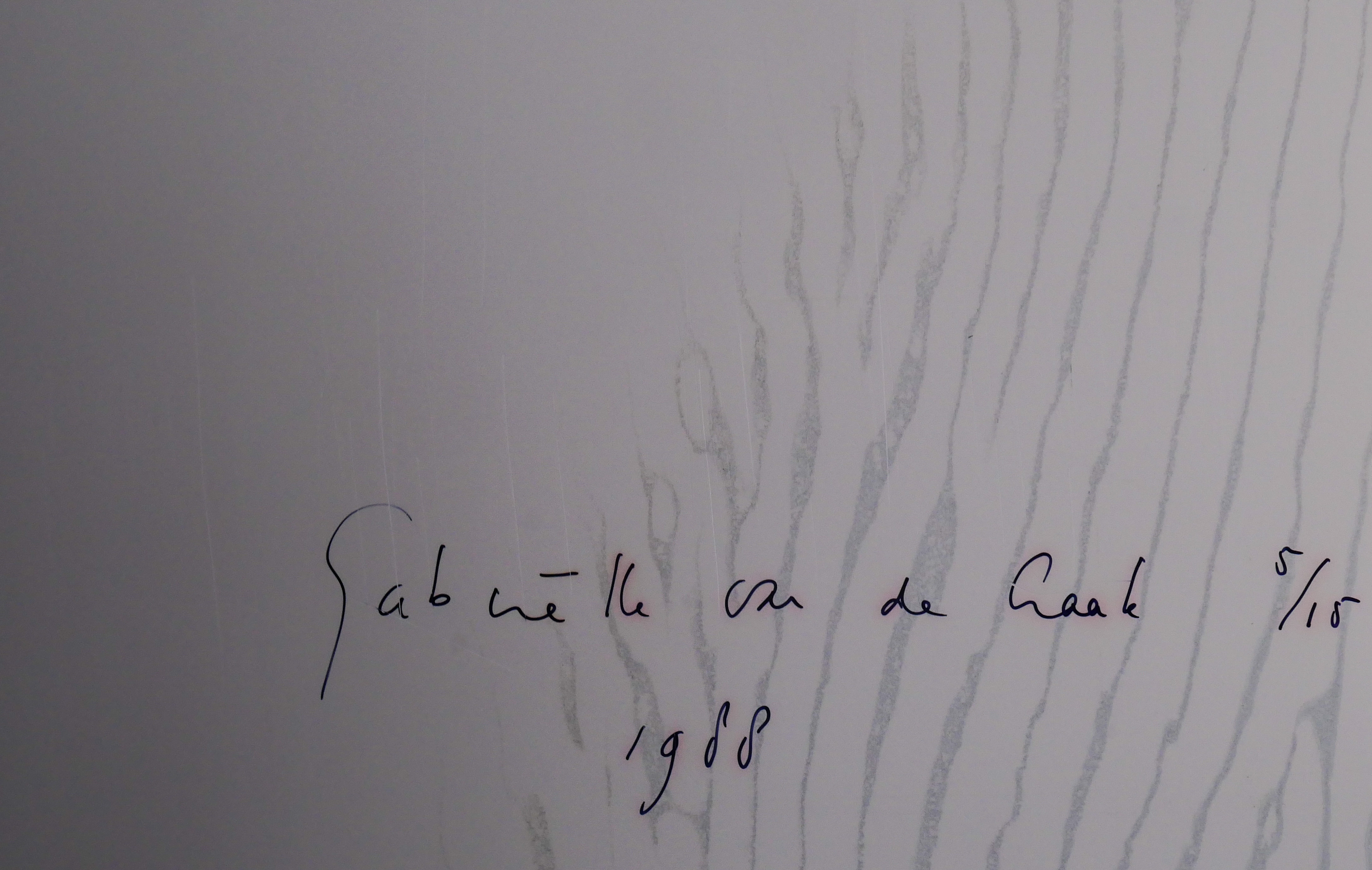 Gabrielle van de Laak - Zonder titel kopen? Bied vanaf 1!