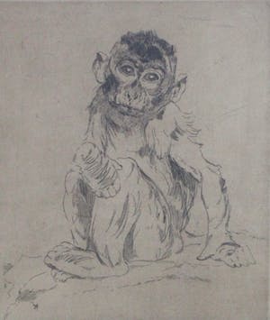 Cornelis Jan Mension - Ingelijste ets: Aapje kopen? Bied vanaf 125!