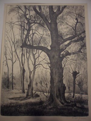 Cor. W Joppe - Litho, zonder titel kopen? Bied vanaf 20!