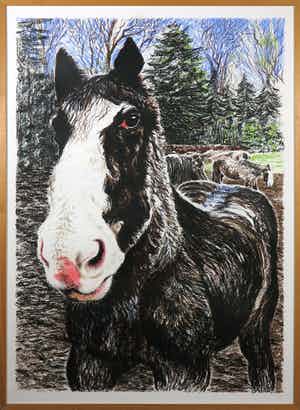 Jacobien de Rooij - Zeefdruk, Valke - Ingelijst (Groot) verkocht voor € 40!