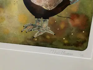 Hollie Witteveen - 3 kippen en 1 haan kopen? Bied vanaf 500!