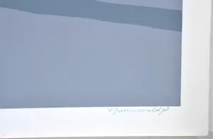 Doris Groeneveld - Westfries landschap met schaduwen - Zeefdruk - Ges. - 55x65 cm - 1978 kopen? Bied vanaf 50!