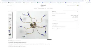 Borek Sipek - Plafond lamp met 10 armen ''Principessa'' kopen? Bied vanaf 600!