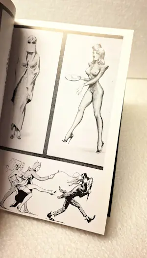 Diverse kunstenaars - fotoboek John Willie's Best of Bizarre, kaufen? Bieten Sie von 25!