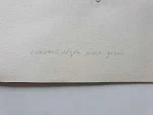 Kees Spermon - Conversation piece green kopen? Bied vanaf 35!