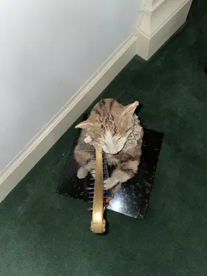 Roullet & Decamps - een zeer zeldzame Roullet et Decamps automaat kopen? Bied vanaf 12500!