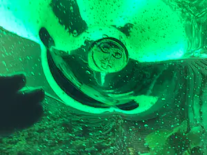 Max Verboeket - Antiqua schaal kopen? Bied vanaf 60!