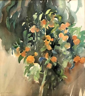 Hen Euverman - Mandarijnen Boompje - Aquarel, Ingelijst kopen? Bied vanaf 70!