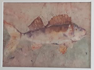 Gerda Spierenburg - Baars kopen? Bied vanaf 20!