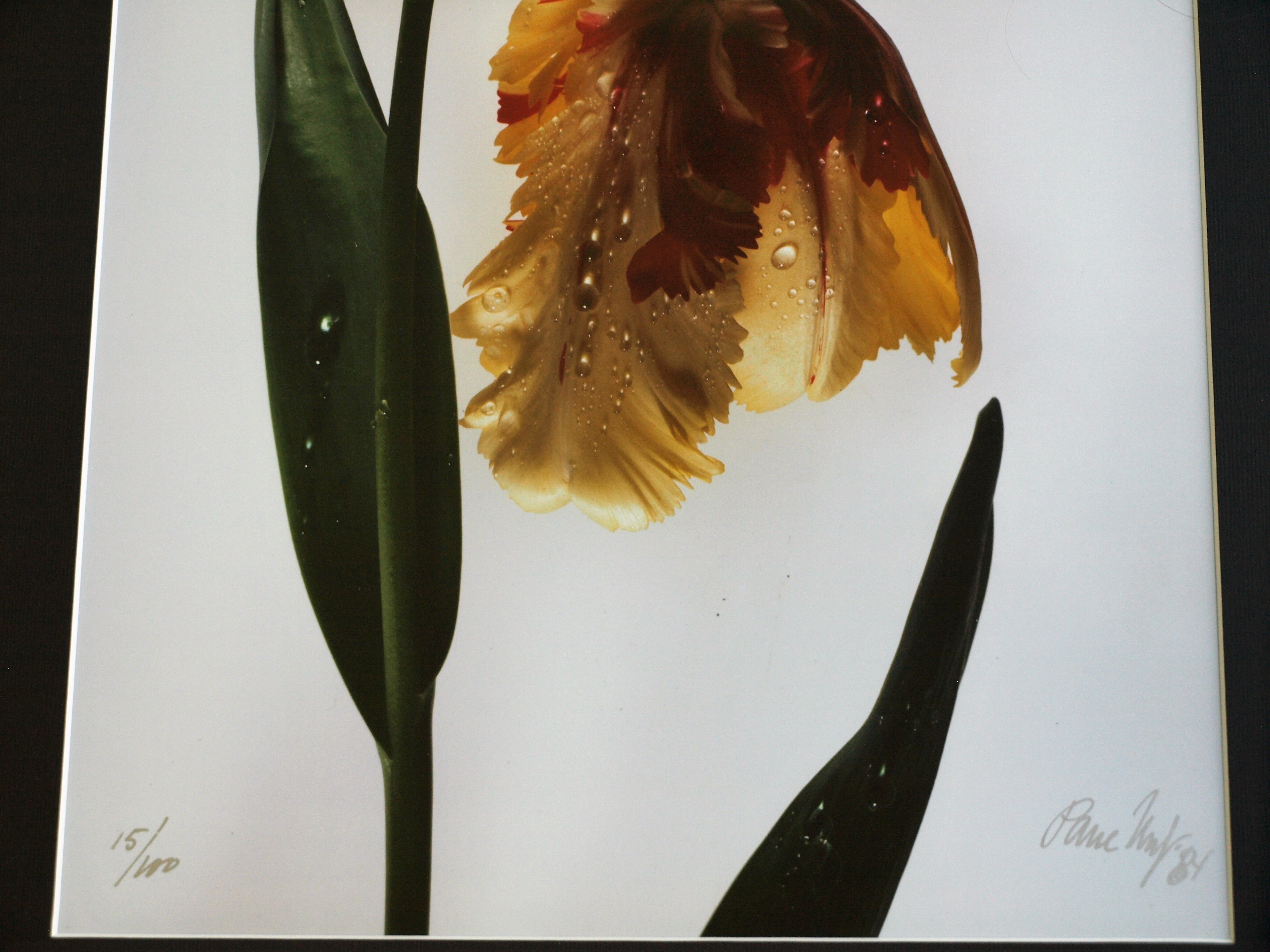 Paul Huf - Foto , Flowers Corridor – gesigneerd & ingelijst - 1984  kopen? Bied vanaf 75!