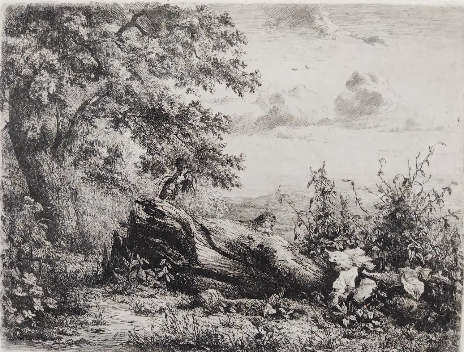 Pierre Louis Dubourcq (1815-1873)