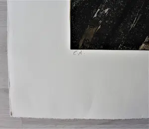 Heinz Göbel - original Radierung - Auflage von 70 - handsigniert - (74,5 x 53 cm) kaufen? Bieten Sie von 180!