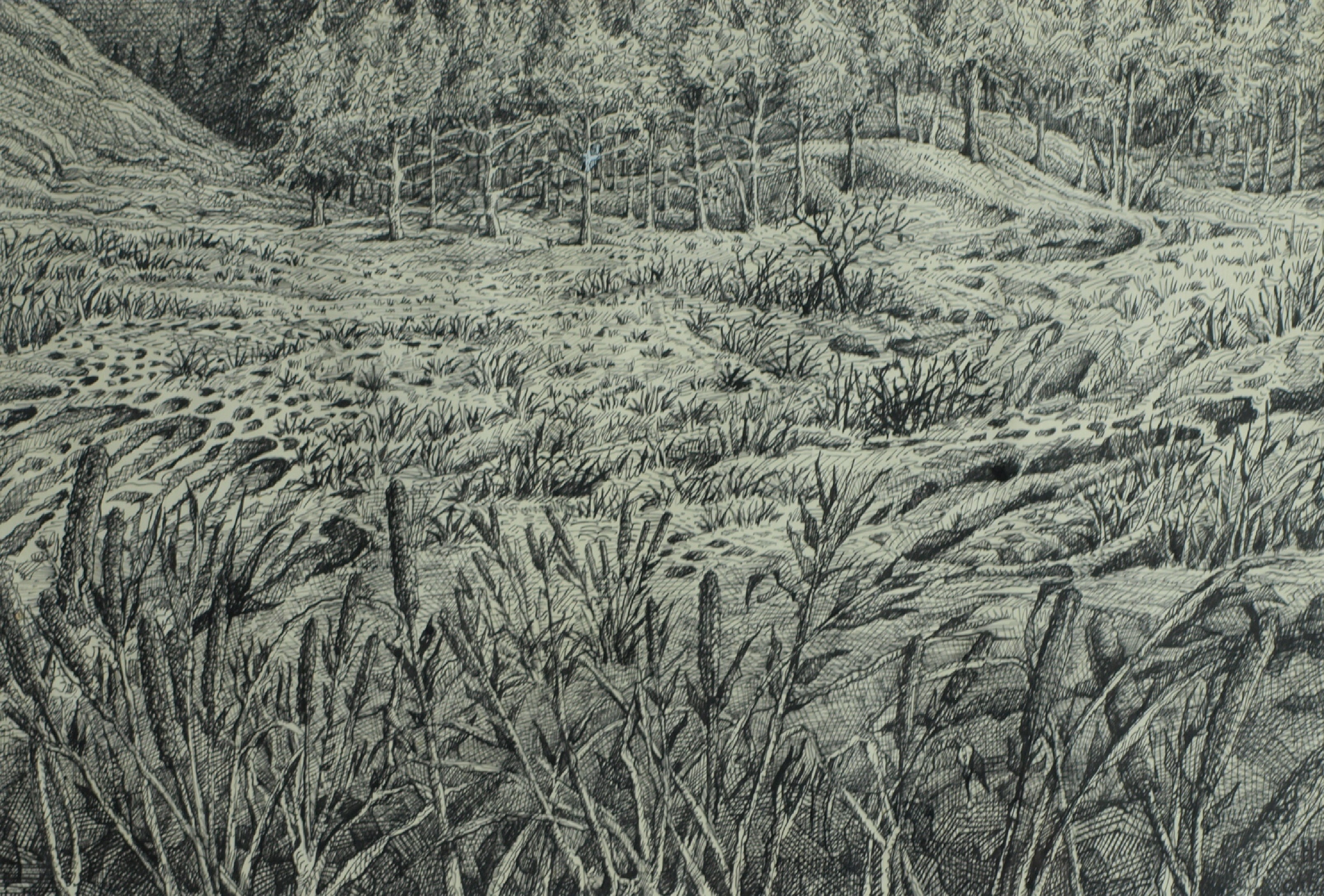 Hans Boon - Pentekening , Duinlandschap – gesigneerd & ingelijst – ca 1977  kopen? Bied vanaf 1!