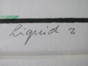 Leon Janssen - liquid 2 kopen? Bied vanaf 100!