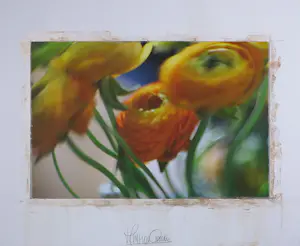 Hans van Ommeren - Fotografie, Zonder titel - Ingelijst (groot) kopen? Bied vanaf 100!