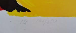 Herman Brood - Guitar - gesigneerd- genummerd kopen? Bied vanaf 1!