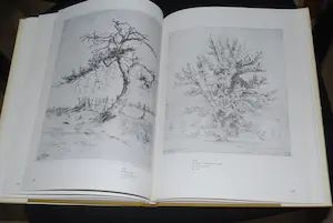 Johan Hemkes - kostbare hardcover: Van Schets Tot Ets - gratis verzonden NL kopen? Bied vanaf 50!