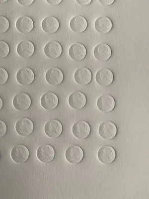 Jan Henderikse - Susie (coins american) kopen? Bied vanaf 350!