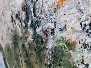 Gerard Strik - Zonder Titel (Groot!) kopen? Bied vanaf 480!