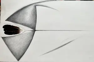Ger Daniels - De Pijl, tekening collage met veren, hand gesigneerd kopen? Bied vanaf 65!