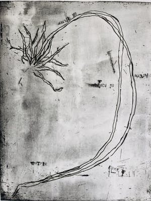 Frank van Hemert - secret survivors II kopen? Bied vanaf 75!