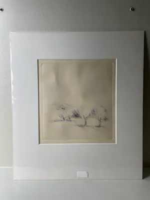 Harry op de Laak - bomen kopen? Bied vanaf 45!