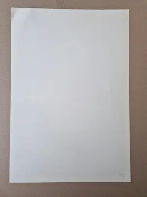 Dirkje Kuik - Grote gedetailleerde Litho "Pinocchio" - bep. oplage (100) - potloodgesigneerd kopen? Bied vanaf 39!