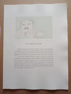 Leonor Fini - Leonor Fini Ets Le Toung-Sok surrealisme 1975 kopen? Bied vanaf 75!