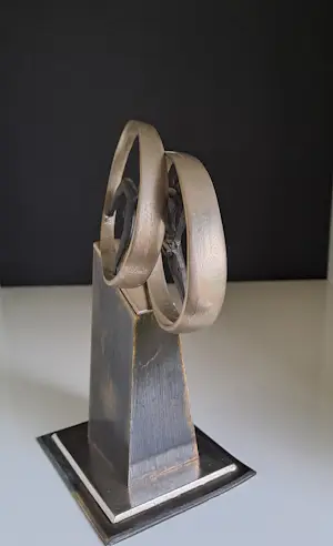 Corry Ammerlaan - Corry Ammerlaan van Niekerk kopen? Bied vanaf 40!