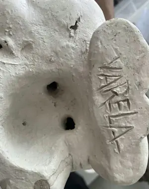 Arthur Varela - Kindergarden “bebés agressivos” kopen? Bied vanaf 750!