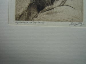 Dirk Harting - PORTRET VAN MAN MET BAARD kopen? Bied vanaf 35!