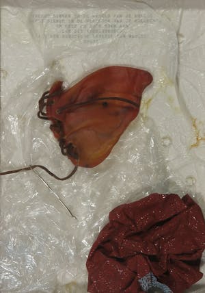 Jan-Karel van Stekelenburg - Assemblage, Rode oortjes - Ingelijst kopen? Bied vanaf 1!