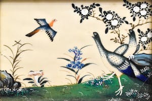 Niet of onleesbaar gesigneerd - Paradijsvogels kopen? Bied vanaf 1!