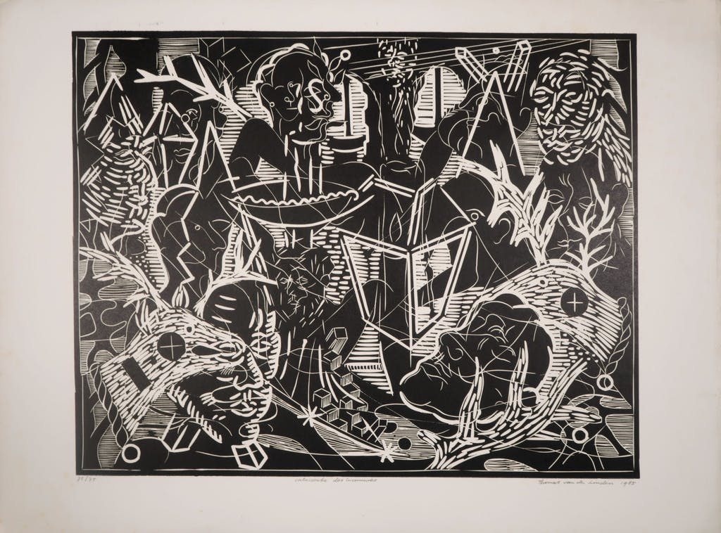 Thomas van der Linden - Thomas van der Linden: Lino, Catacombe des inconnues kopen? Bied vanaf 1!