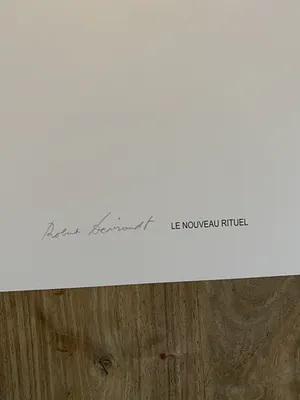 Robert De Vriendt - Le Noveau Rituel kopen? Bied vanaf 95!