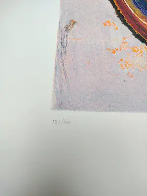 Jan te Wierik - De tweeling kopen? Bied vanaf 79!