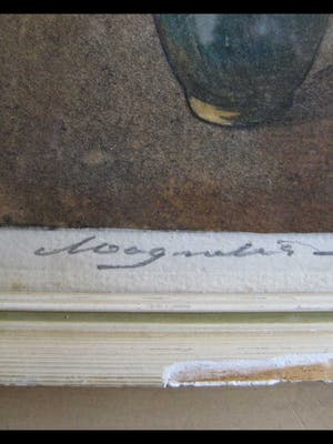 Niet of onleesbaar gesigneerd - Magnolia's kopen? Bied vanaf 10!