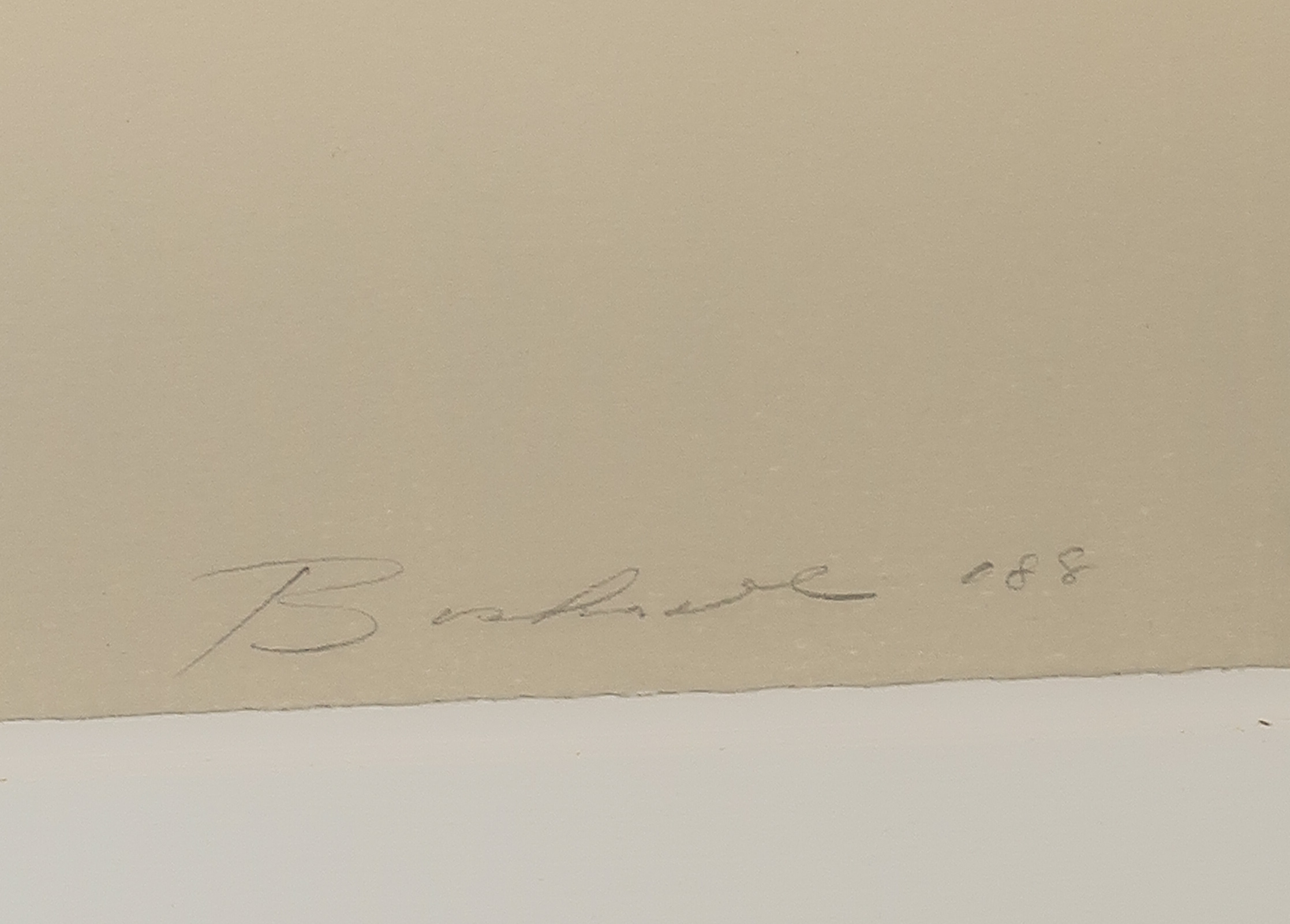 Niet of onleesbaar gesigneerd - Litho, Bloemen - Ingelijst kopen? Bied vanaf 1!