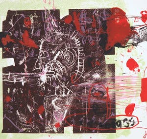 Rik van Iersel - Litho in lijst en Boek "Between seeing and saying" - Nieuwstaat kopen? Bied vanaf 33!