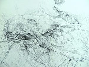 Piet Klaasse - twee litho's/potlood van paard en nieuw leven met ophangsysteem kopen? Bied vanaf 49!