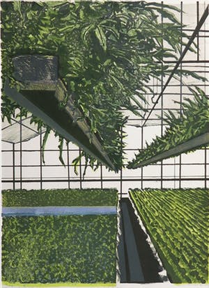 Joost Minnigh - Litho, Kas met varens kopen? Bied vanaf 20!