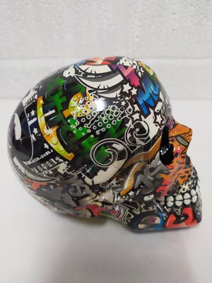 Hannes D'Haese - Skull kopen? Bied vanaf 75!