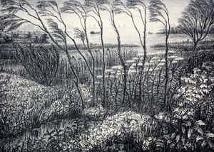 Jan van den Thillart - Litho: Voorjaar - 1958 verkocht voor € 85!