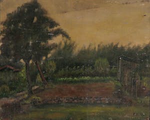 Pieter Haan - Olieverf op board, lot van vier boslandschappen kopen? Bied vanaf 1!